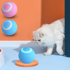 Smart interaktiv bold til katte