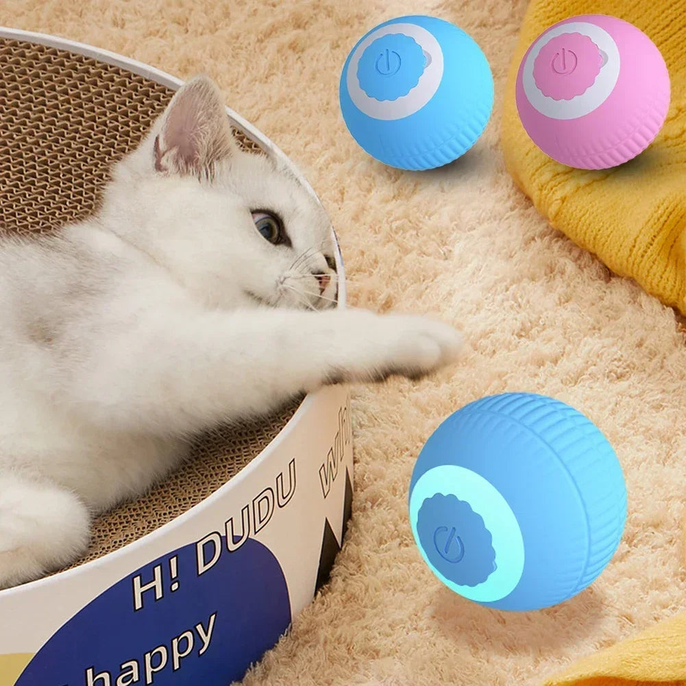 Smart interaktiv bold til katte