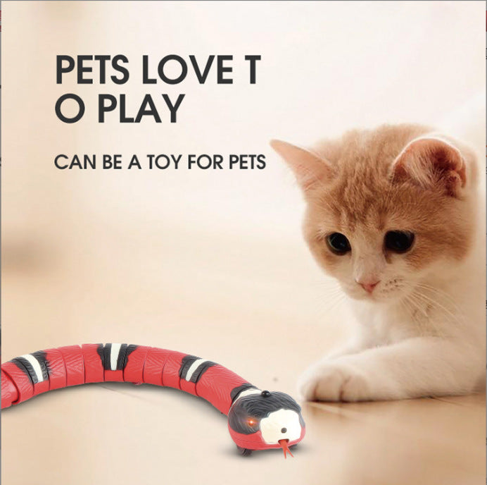 Slangeleke med smart sensor for katter