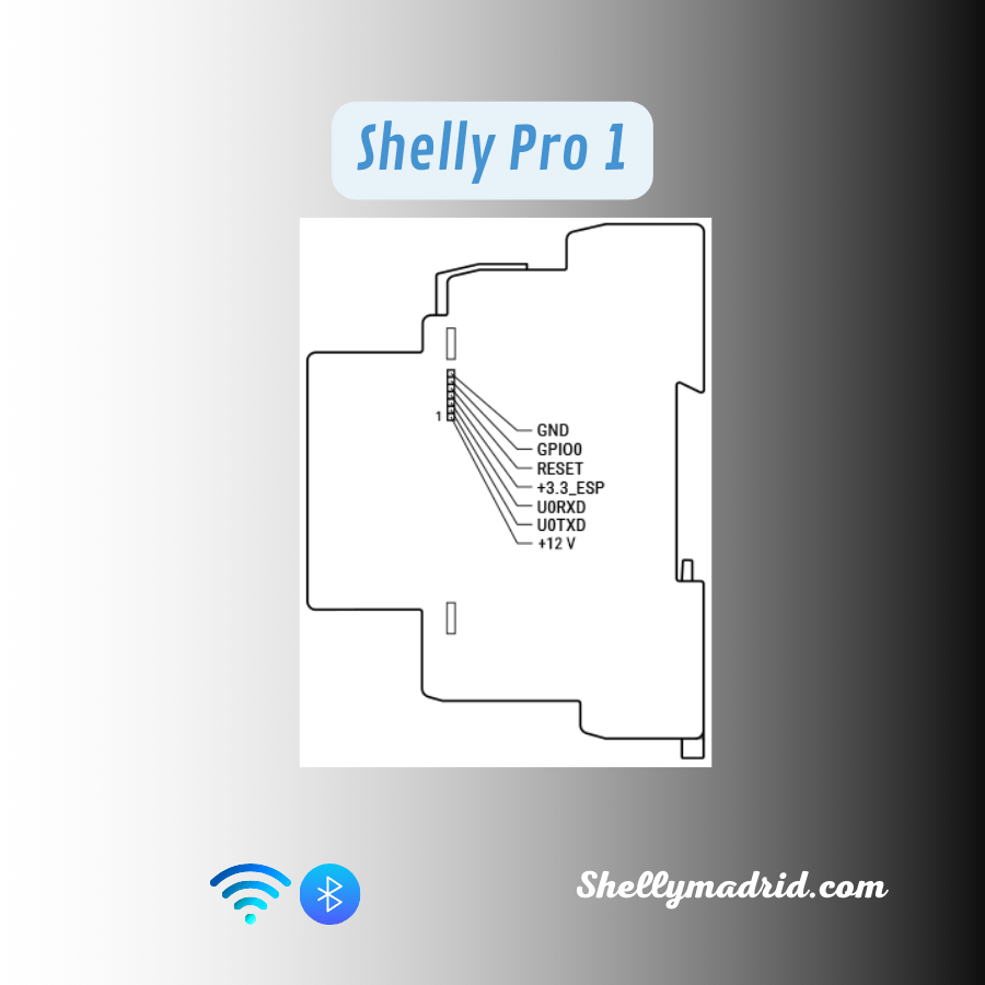 Shelly Pro 1