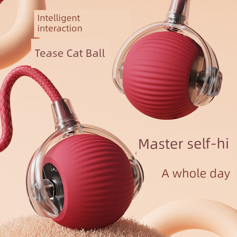 Smart interaktiv bold til stimulering af katte