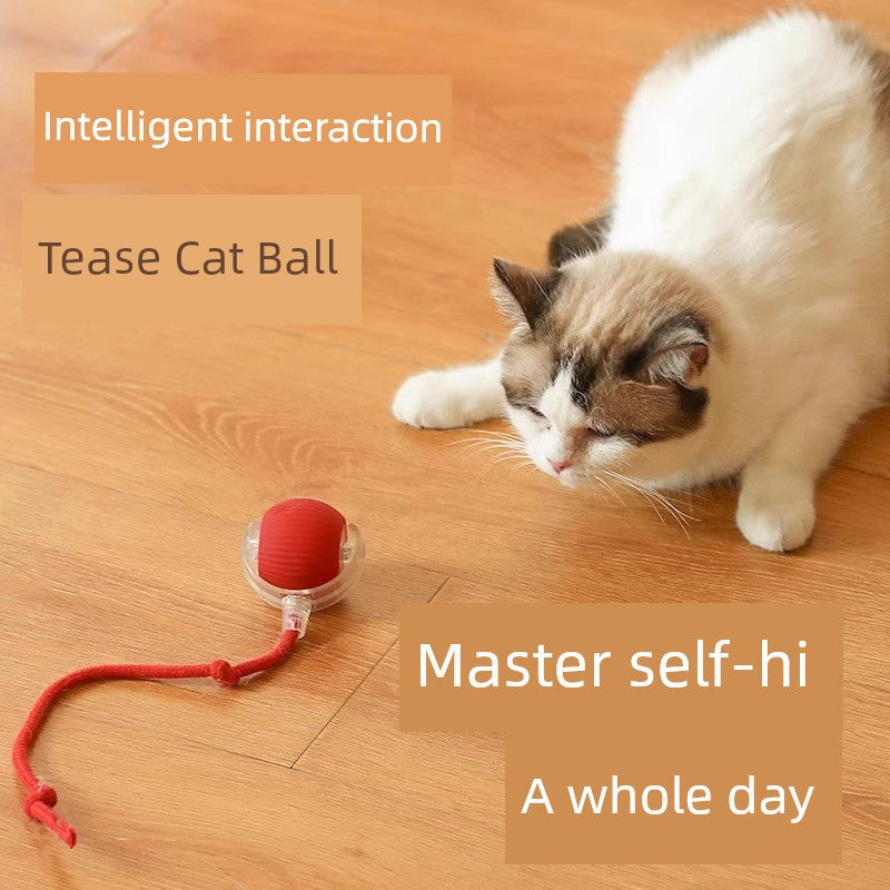 Smart interaktiv bold til stimulering af katte