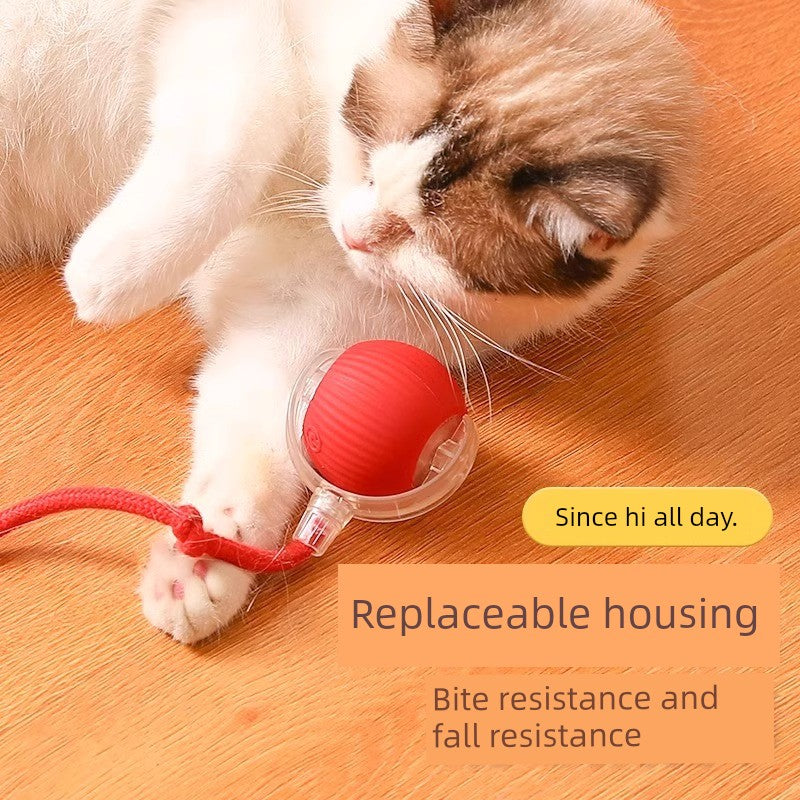 Smart interaktiv bold til stimulering af katte