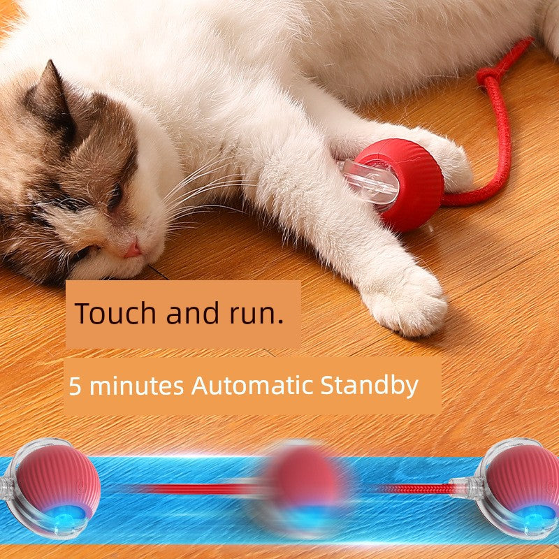 Smart interaktiv bold til stimulering af katte