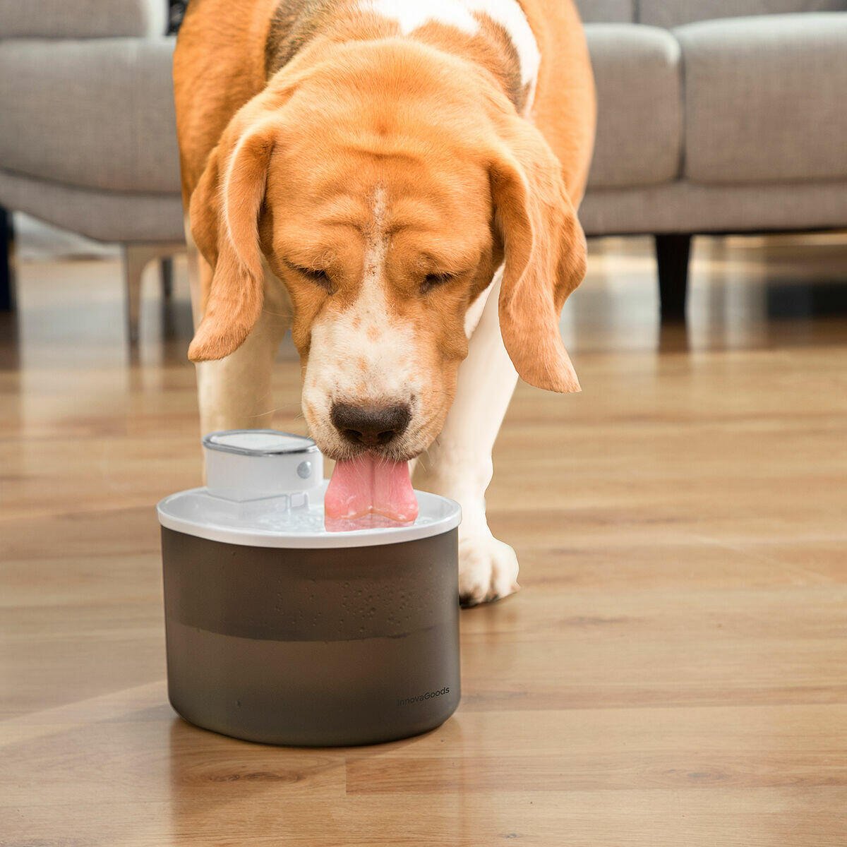 Fuente para Mascotas Recargable con Sensor Refopet